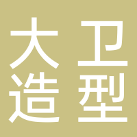 大卫造型