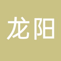 龙阳安全门店