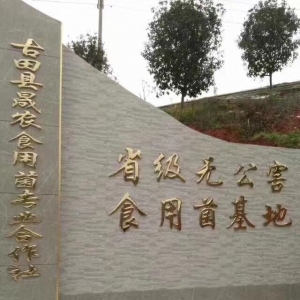 宁德晟农农业开发有限公司