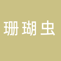 古田县珊瑚虫网吧