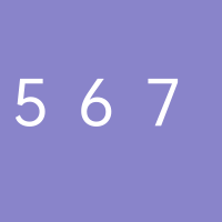 567排档