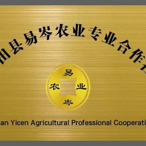 古田县易岑农业专业合作社