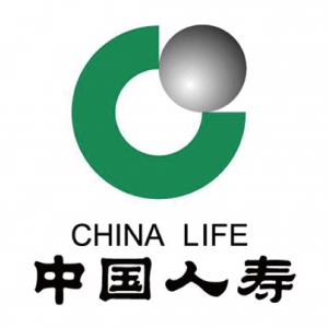 中国人寿公司金鹰团队