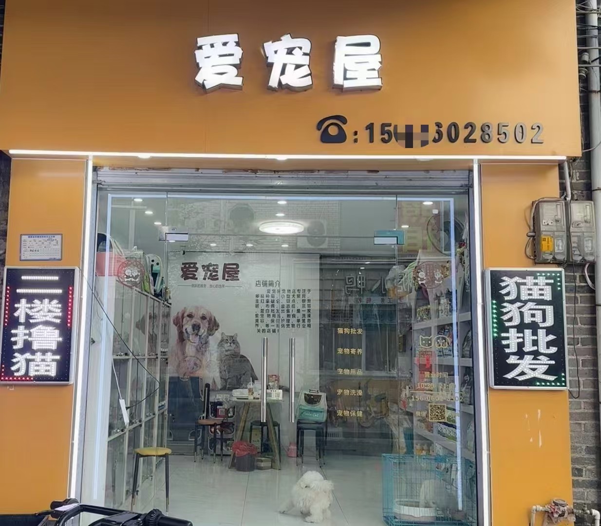 爱宠屋.jpg