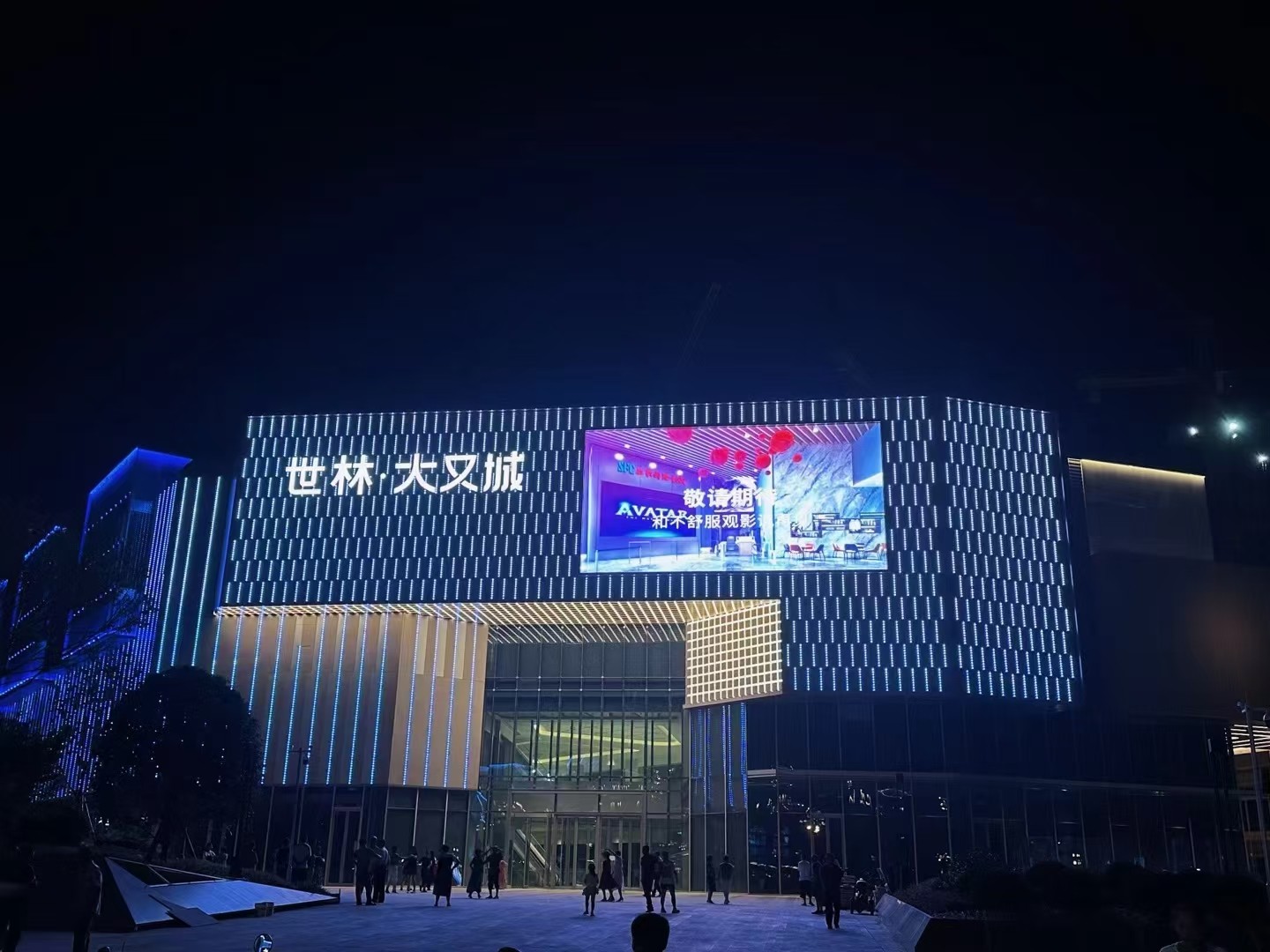 世林大又城照片.jpg